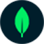 MongoDB Shell