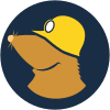 Mullvad Browser