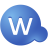 Wise Video Converter